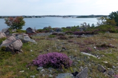 Retki Örön saarelle