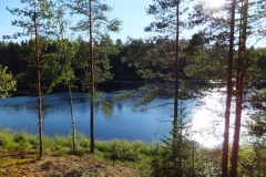 Raasin perheleiri v. 2013